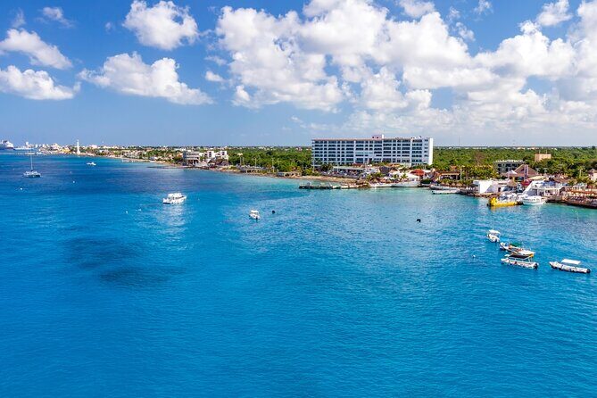 Snorkel and swim in Cozumel el Cielo Reef, Palancar and Colombia - Final Thoughts: Is It Worth It?