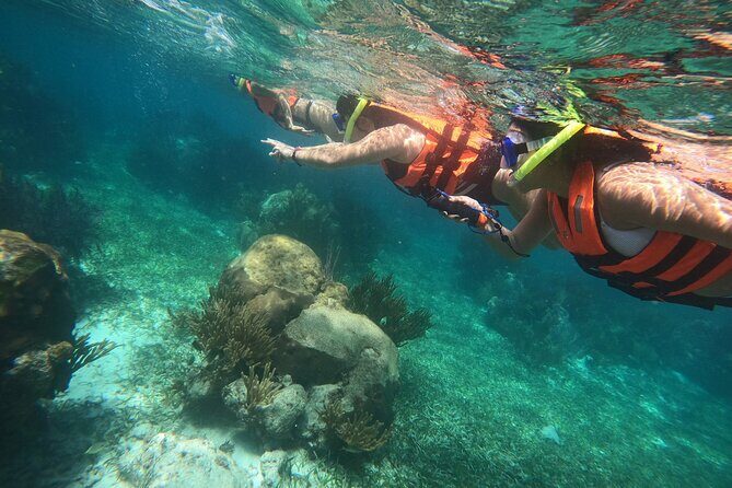 Snorkel at the beautiful Puerto Morelos Reef, Lunch & transport - FAQ
