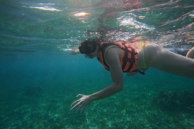 Snorkel at the Reef 2 HOURS Puerto Morelos National park - The Itinerary: What to Expect