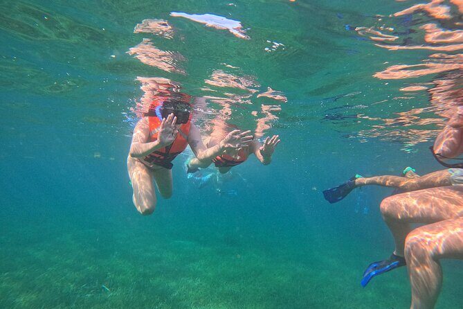 Snorkel at the Reef 2 HOURS Puerto Morelos National park - Value for Money