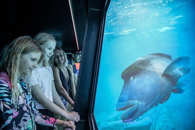 Snorkel & Dive the Reef: Sustainable, Scientific & Cultural Tour - Is It Worth the Price?