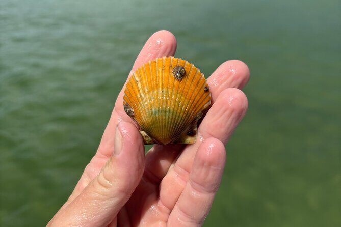 Snorkel Excursions with Good Jibez Only in Panama City Beach - Price and Overall Value