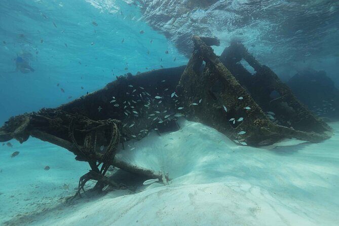 Snorkel Experience In Cancun! Reef and Sunken Ship - Key Points