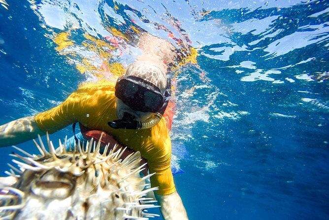 Snorkel & Explore Pelican Rock by Glass Boat + Photos - Authentic Traveler Experiences