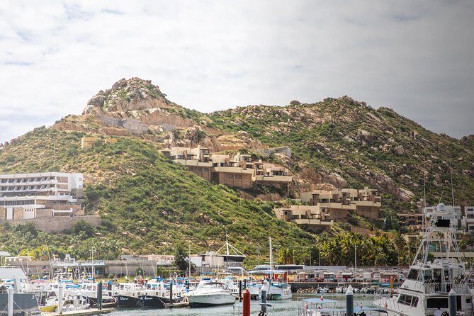 Snorkel & Explore Pelican Rock by Glass Boat + Photos - Who Should Consider This Tour?