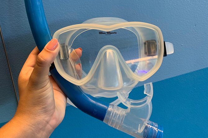 Snorkel Gears near Hanauma Bay - Practical Tips for Using This Service