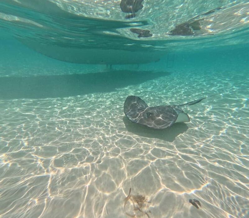 Snorkel in Cozumel and visit to El Cielo - Final Thoughts