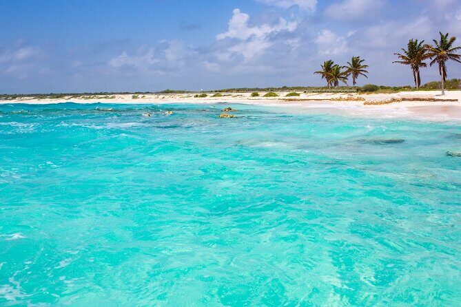 Snorkel in Paradise Cozumel El Cielito Palancar Reef Colombia - Final Thoughts