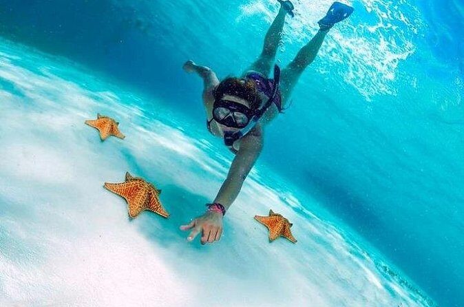 Snorkel in Paradise Cozumel El Cielito Palancar Reef Colombia - FAQ