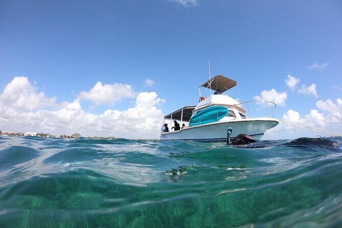 Snorkel in the beautiful reef of Puerto Morelos with transport - What to Expect from the Tour