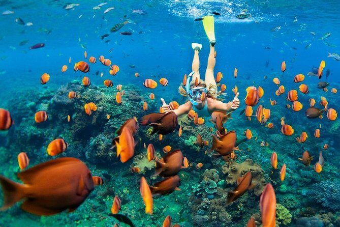 Snorkel in the second largest reef in the world Colorful tour in Puerto Morelos - The Value of This Snorkeling Tour