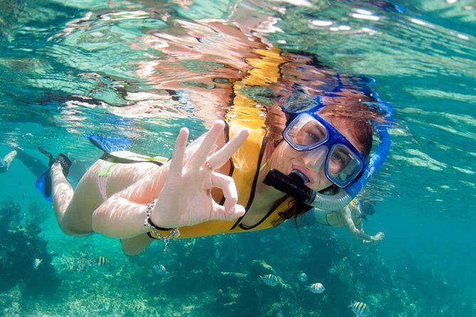 Snorkel in the second largest reef in the world Colorful tour in Puerto Morelos - Who Is This Tour Best For?