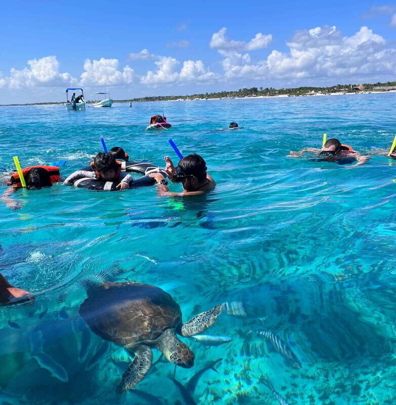 SNORKEL IN TULUM REEF, BOAT RIDE AND CALETA - Final Thoughts