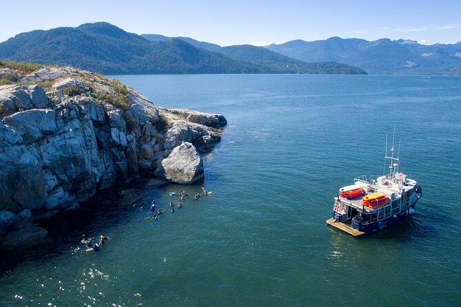 Snorkel, Kayak, and Seal Adventure: Vancouver Boat Tour - An In-Depth Look at the Vancouver Seal and Marine Adventure