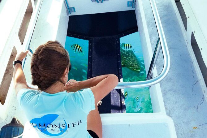 Snorkel, Sandbar & Dolphin Excursion - What to Expect from the Tour