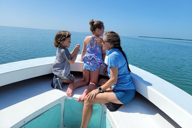 Snorkel, Sandbar & Dolphin Excursion - Less Than Perfect? Considerations Before Booking