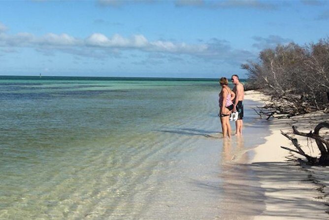 Snorkel, Sandbar & Dolphin Excursion - Who Would Enjoy This Tour?