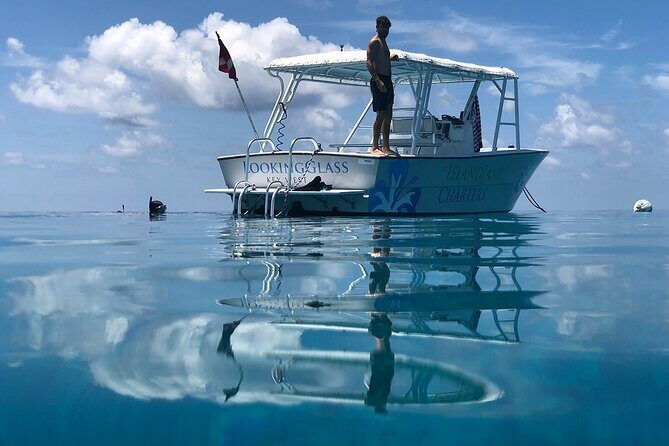 Snorkel, Sandbar & Dolphin Excursion - Final Thoughts