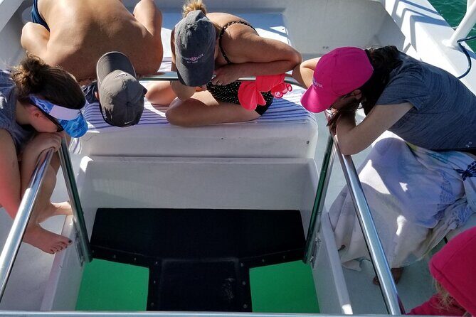 Snorkel, Sandbar & Dolphin Excursion - FAQ