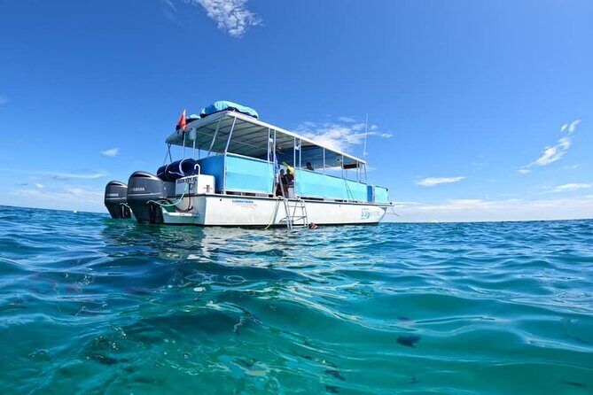 Snorkel, Sandbar & Sunset Cruise Trifecta in Marathon - Who’s This Tour For?