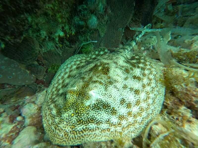 SNORKEL & TEQUILA TASTING - The Sum Up