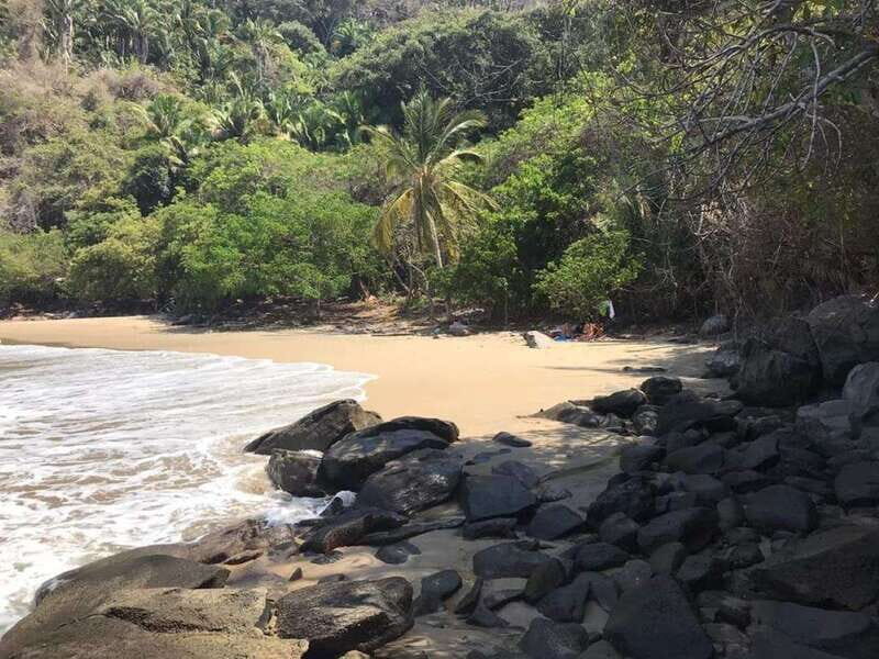 Snorkel to Playa del Toro departing from Sayulita : day at the beach - Who Should Consider This Tour?