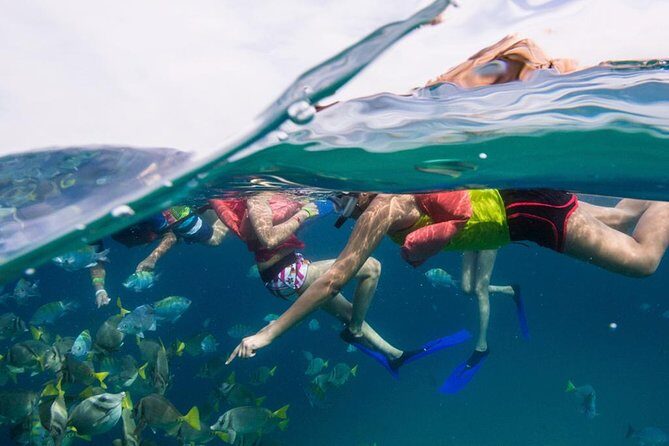 Snorkel Tour and Glass-Bottom Boat Ride in Cabo San Lucas - Itinerary Breakdown