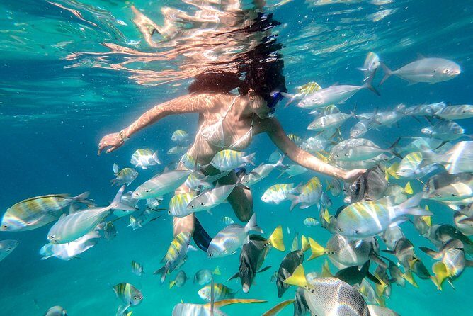 Snorkel Tour and Glass-Bottom Boat Ride in Cabo San Lucas - Who Should Consider This Tour?