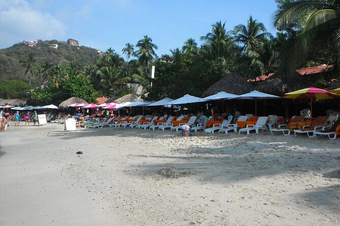Snorkel Tour in Las Gatas Water Break - Analyzing the Cost and Value