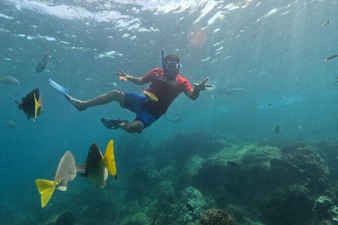 Snorkel Tour in private Trimarán in Los Cabos - What Makes This Snorkel Tour Stand Out?