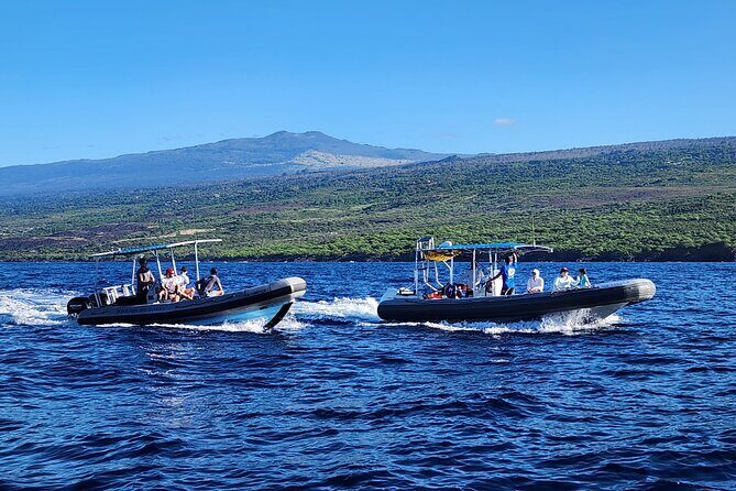 Snorkel Tour to Captain Cook Monument Kailua-Kona, Big Island - A Closer Look at the Experience