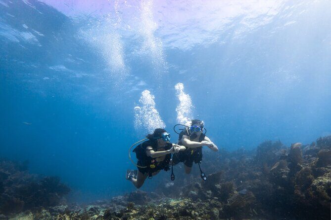 Snorkel Tour - Visit 2 Shallow Reefs John Pennekamp State Park - Itinerary Breakdown: What Does a Typical Day Look Like?