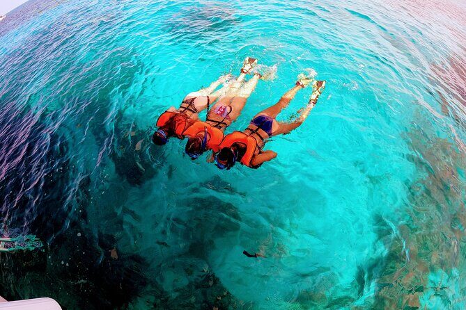 Snorkel Tour - Visit 2 Shallow Reefs John Pennekamp State Park - Who Will Love This Tour?