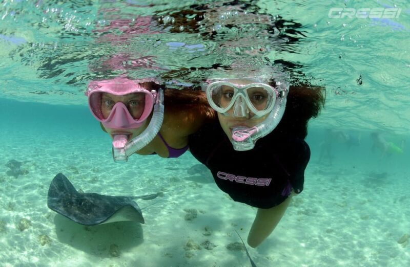 Snorkel tour Why not? - Key Points