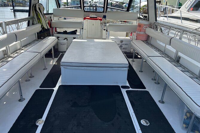 Snorkel Tours to Key Largo reef for up to 6 people-INCLUDES GEAR! - Who This Tour Is Perfect For