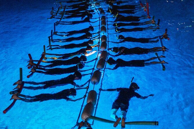 Snorkel with Manta Rays Guaranteed - Key Points