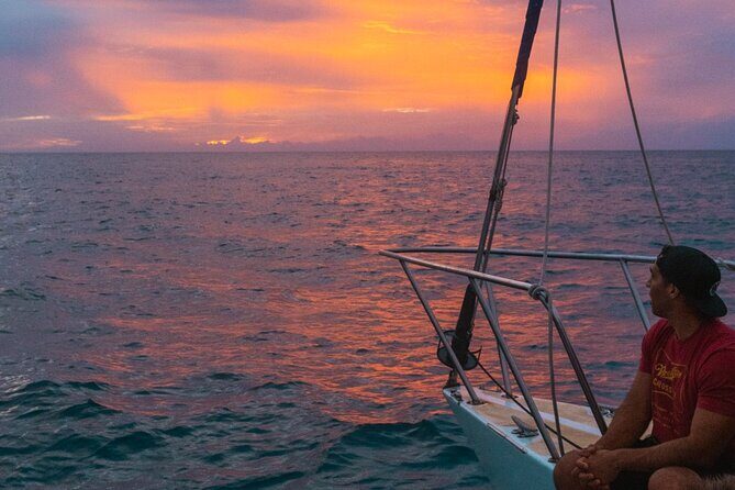 Snorkel with Manta Rays Guaranteed - The Value of the Experience