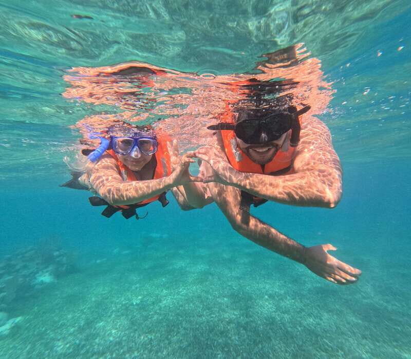 snorkel with tropical fish, reefs, and in search of turtles - Key Points