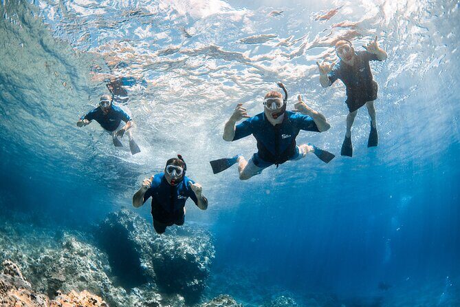 Snorkel with Turtles and Free Underwater Photos Lahaina - In Summary