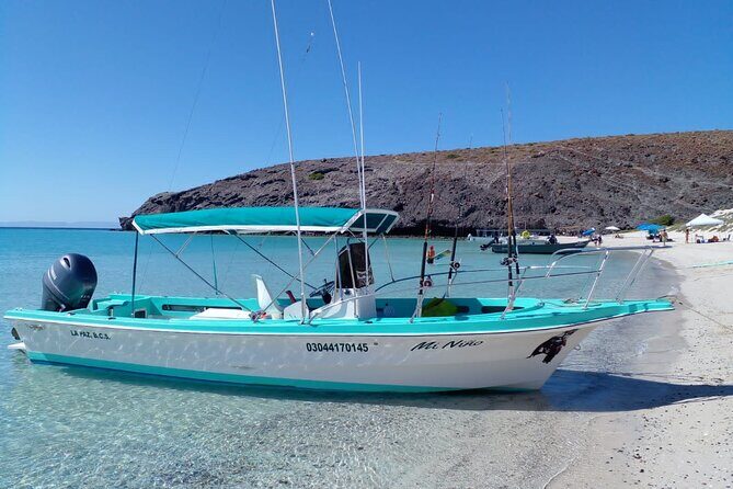 Snorkel with whale sharks includes equipment & transportation - Final Thoughts