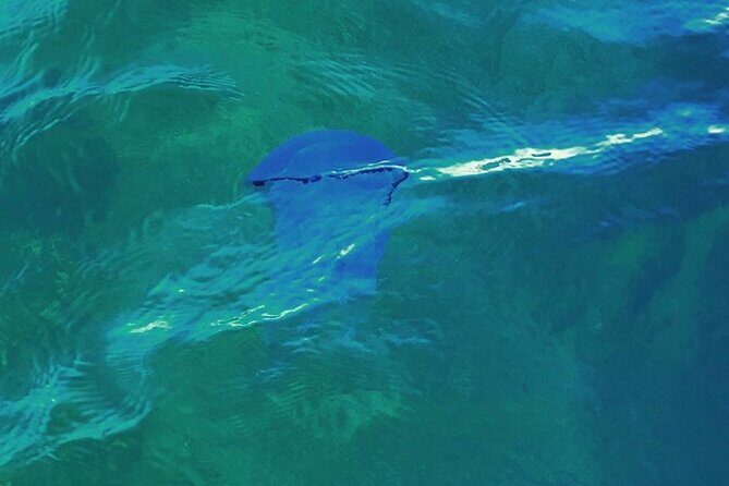 Snorkeling activities in Syracuse - The Sum Up