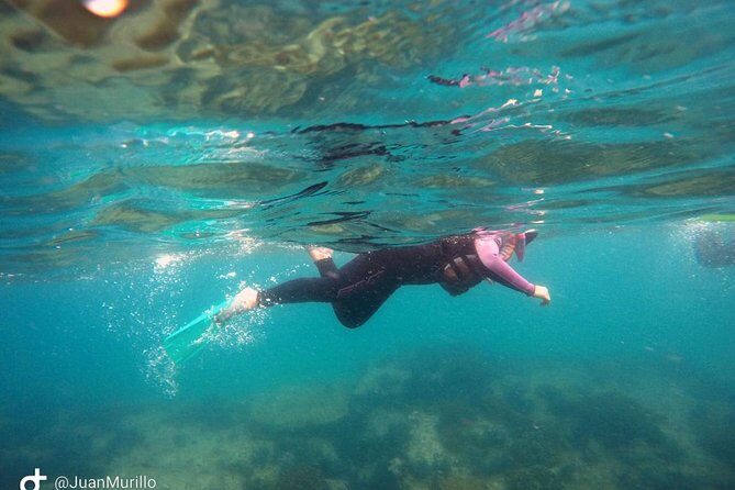 Snorkeling Adventure Cabo Pulmo - What To Expect During Your Snorkeling Time