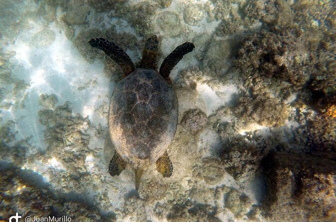 Snorkeling Adventure Cabo Pulmo - Who Is This Tour Best For?