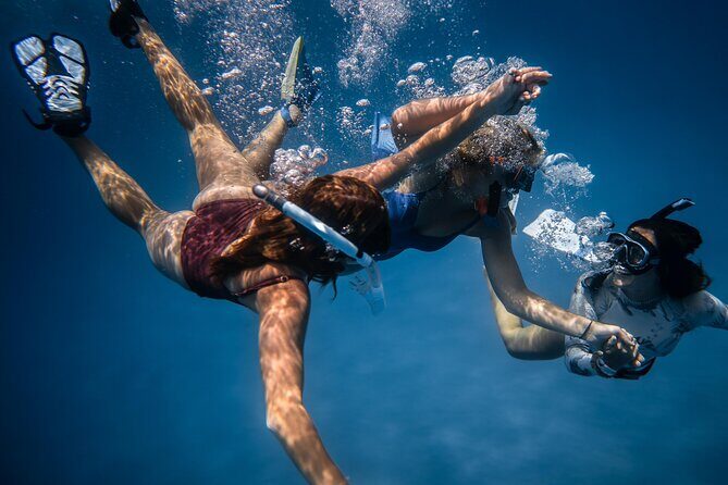 Snorkeling Adventure in Caloura, S. Miguel - Exploring the Snorkeling Adventure in Caloura, São Miguel