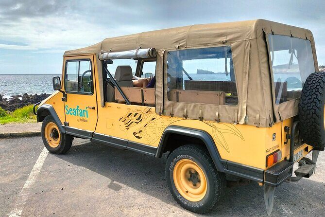 Snorkeling Adventure in Caloura, S. Miguel - Final Thoughts