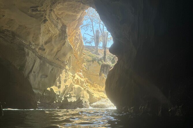 Snorkeling Adventure in La Jolla - Is This Tour Right for You?