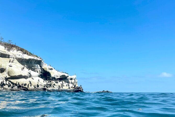Snorkeling Adventure in La Jolla - The Sum Up