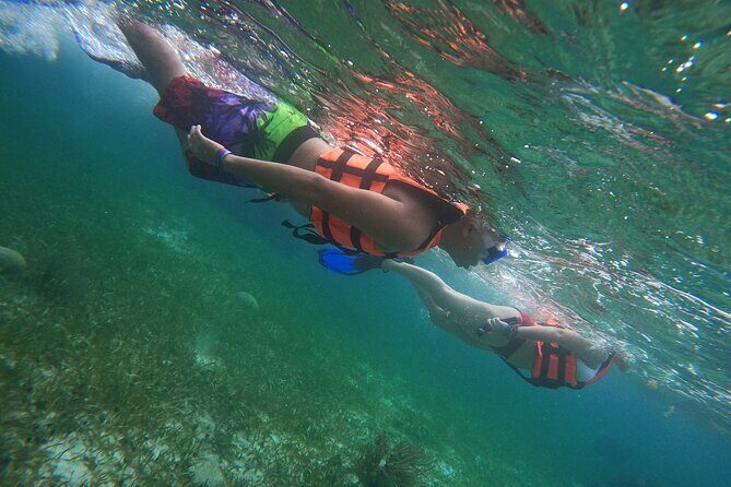 Snorkeling Adventure in Puerto Morelos Includes snack, Water and Round Trip. - An Overview of the Tour