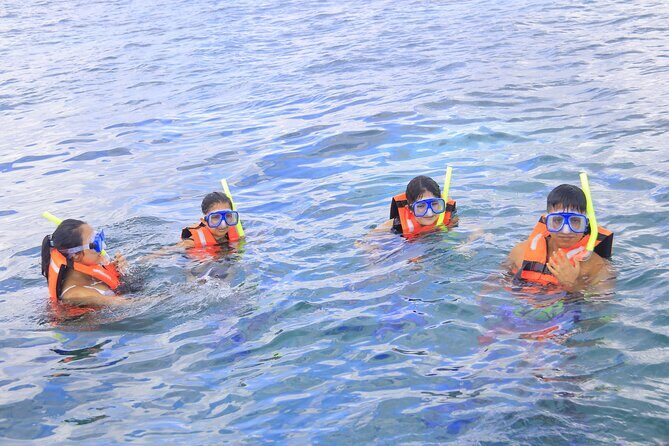 Snorkeling Adventure in Puerto Morelos Includes snack, Water and Round Trip. - The Value for Money