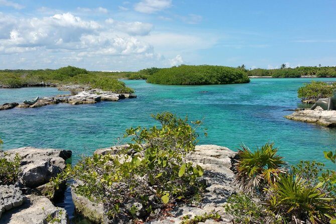 Snorkeling adventure in Yal-Kú lagoon, + Underground Cenote - Who Should Consider This Tour?